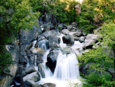 View Image